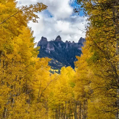 Autumn-Portal-6598.jpg.webp