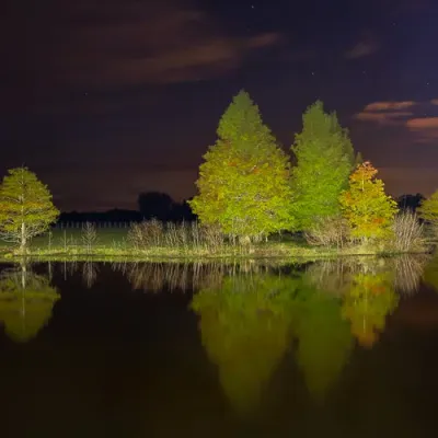 Cypress-Night-4155.jpg.webp
