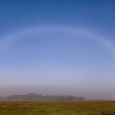 Fogbow-Over-Live-Oak-Tree-6832.jpg.webp
