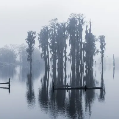 Foggy-Entrance-6659.jpg.webp