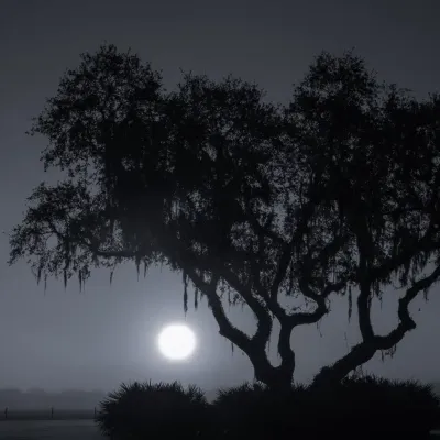 Sunrise-Through-the-Fog-Monochrome-6802.jpg.webp