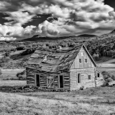 Timeworn-942.jpg.webp