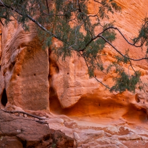Sculpted by Time