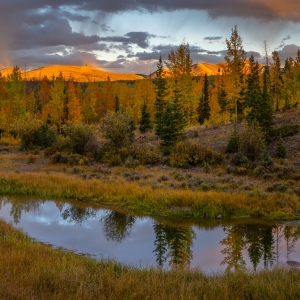 Autumn Stillness