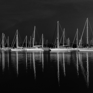 Coconut Grove Sailboats