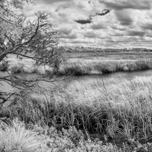 Low Country