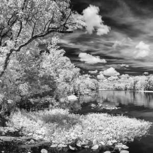Saint Johns River