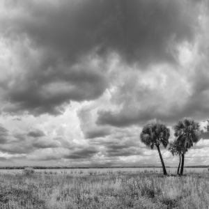 The Coming Storm