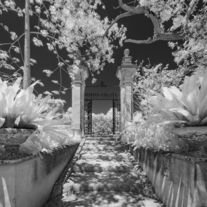 The Gateway