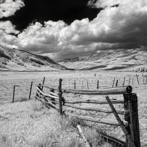 The Old Rugged Fence
