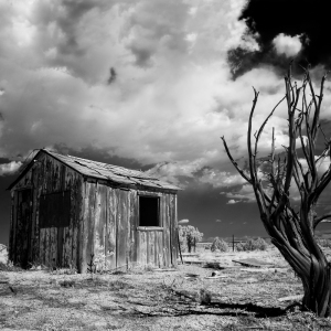 The Shack