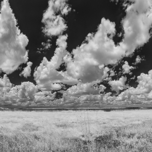 Where Earth Meets Sky
