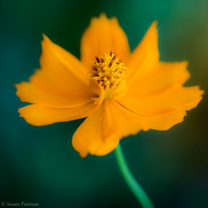 Radiance