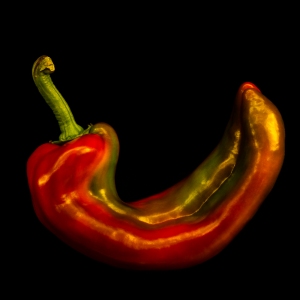 Rockin' Red Pepper