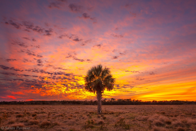 Blazing Skies