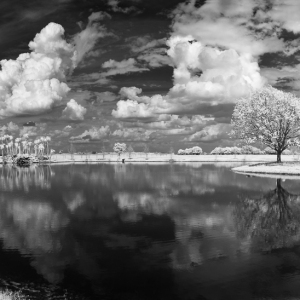 Day of Reflection