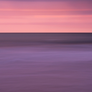 Evening Embrace