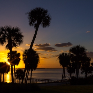 Florida Sunrise II