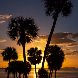 Florida Sunrise III