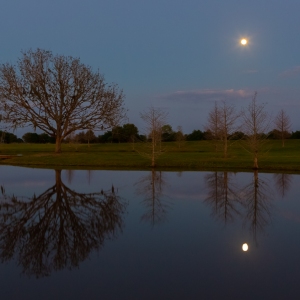 Idyllic Evening Idyllic Evening