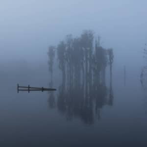 Immersed in Fog
