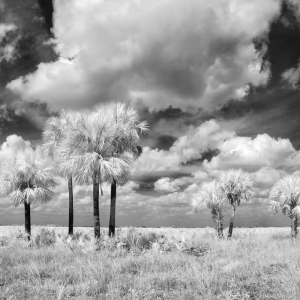 Peaceful Prairie Peaceful Prairie