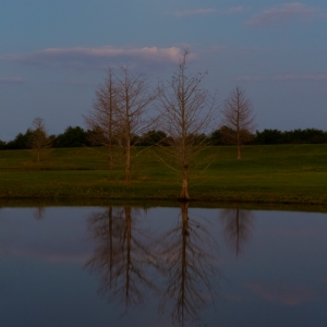Restful