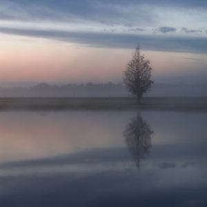 Stillness Awaits