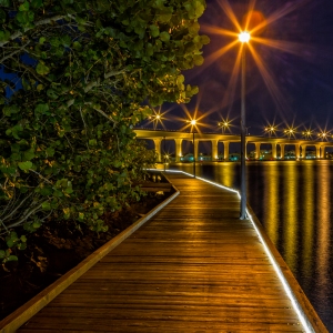 The Roosevelt Bridge II