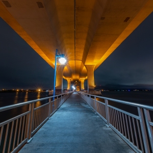 Under the Roosevelt Bridge
