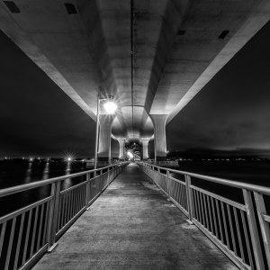 Under the Roosevelt Bridge in Monochrome