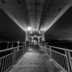 Under the Roosevelt Bridge in Monochrome Under the Roosevelt Bridge in Monochrome
