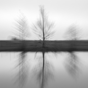 Foggy Moods Foggy Moods