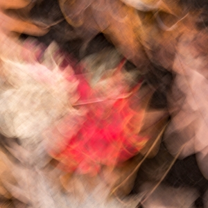 Autumn Abstract Autumn Abstract