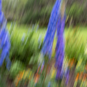 Garden Impressions Garden Impressions