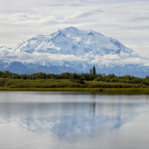 Denali - Extraordinary Light