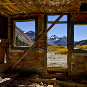 A Room With a View