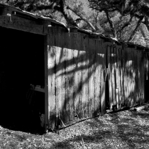 Abandoned