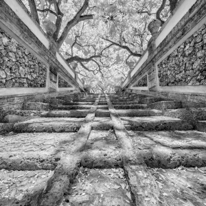 Ascending