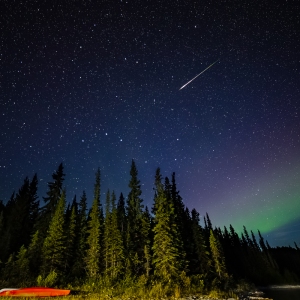 Aurora Night