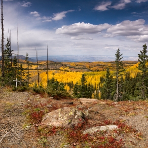 Autumn Splendor