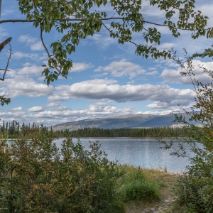Boya Lake View