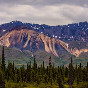 Denali Highway 8-Alaska Range