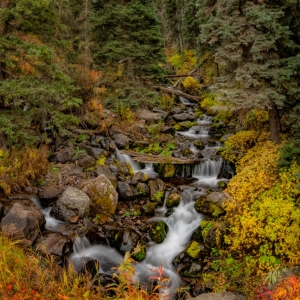 Fall Serenity