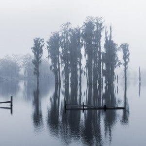 Foggy Entrance
