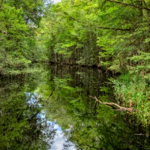 Glassy Waters