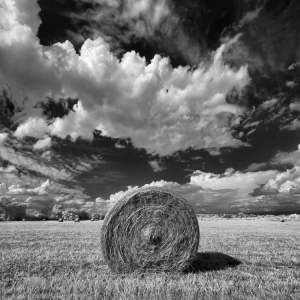 Hay There