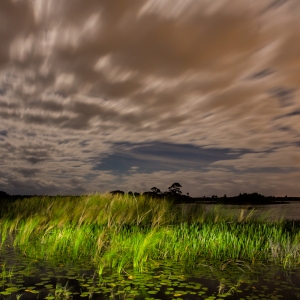 Night at the Savannas