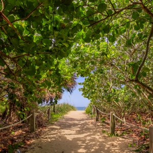 Pathway to Paradise