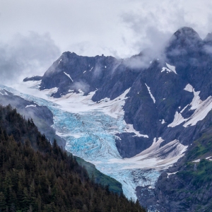 Raw Alaska
